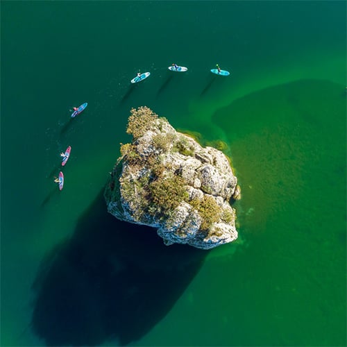 Paddle Board