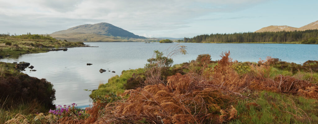 Responsible Travel Supports Our Planet