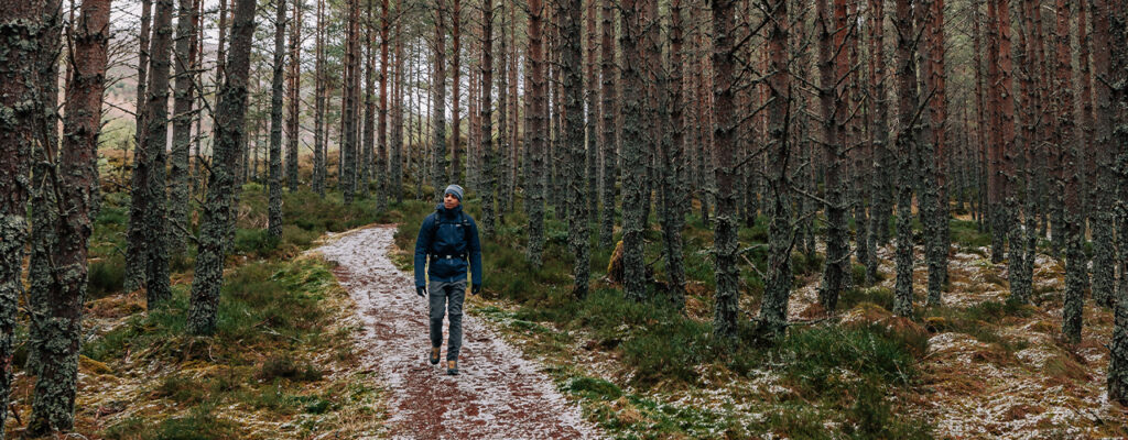 Montane